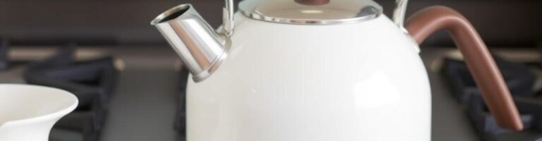 Как выбрать чайник для плиты: удобный и надежный помощник на кухне