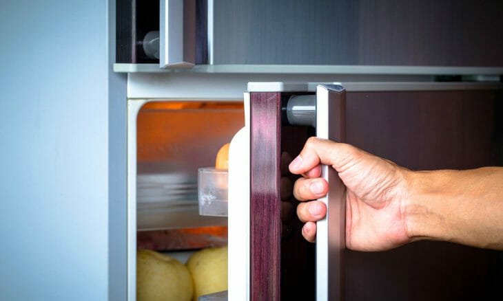 Дверца холодильника