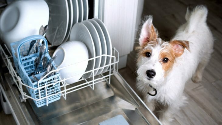 Пес возле узкой посудомоечной машины
