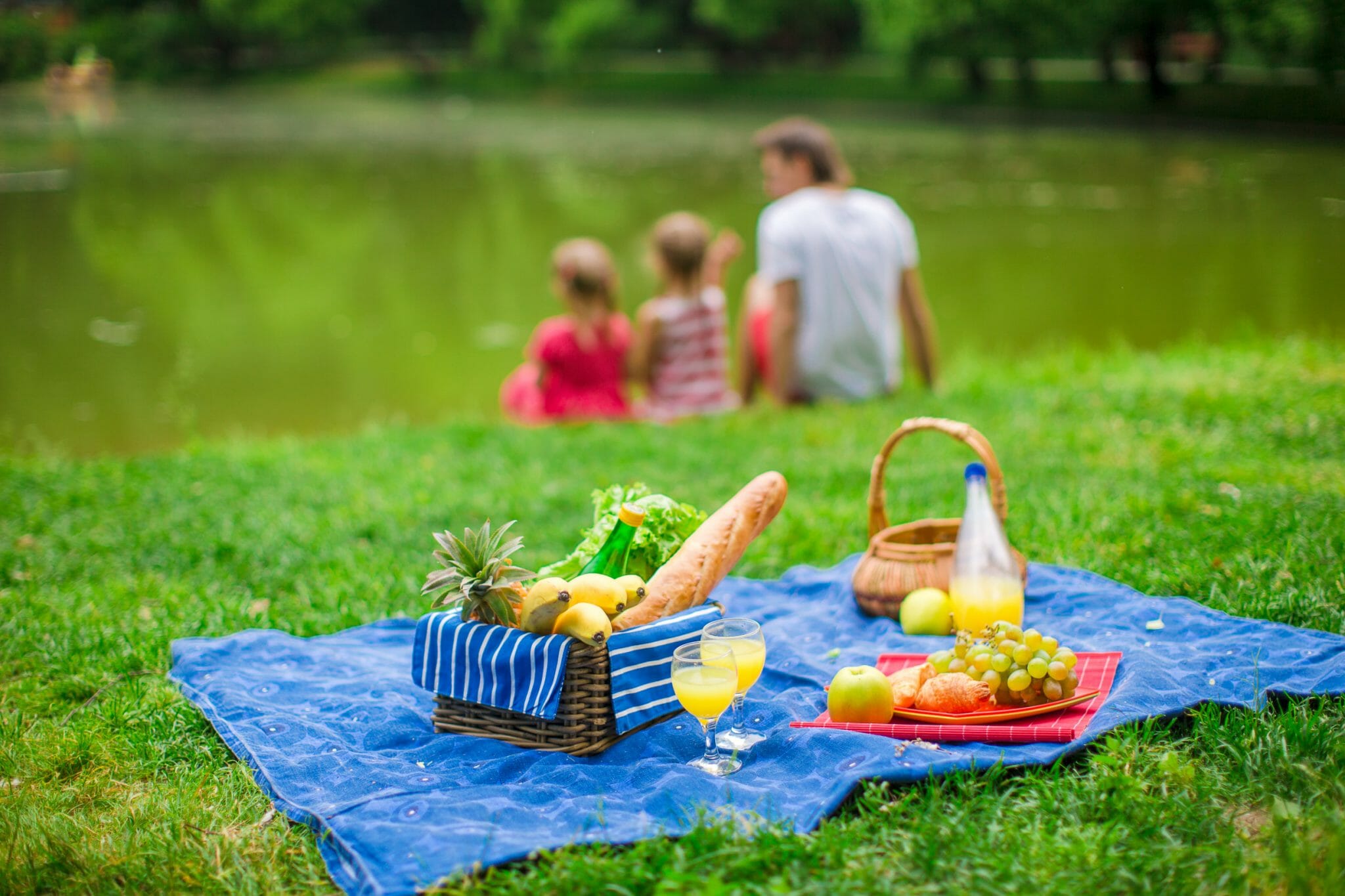 Пикник не стало. Пикник на природе. Пикник на природе летом. Праздник на природе. Семья на пикнике.