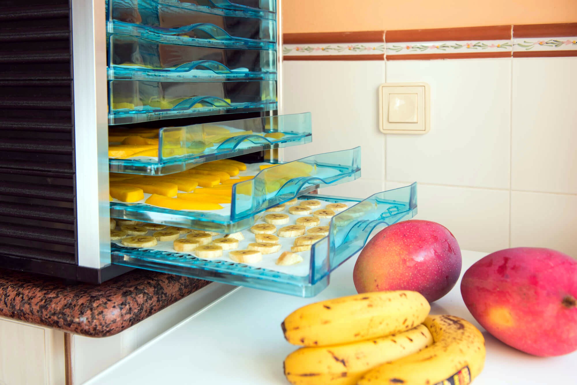 Сушильный шкаф для овощей и фруктов своими руками из холодильника